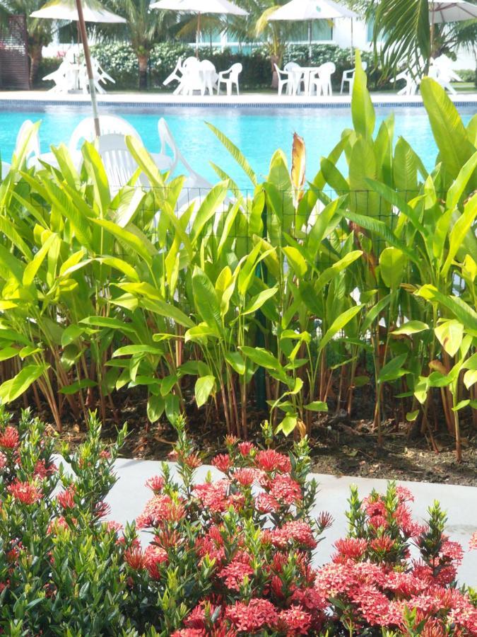 Palm Village Acqua - Apartamento Premium - Em Frente A Piscina - Pôrto das Galinhas Екстериор снимка